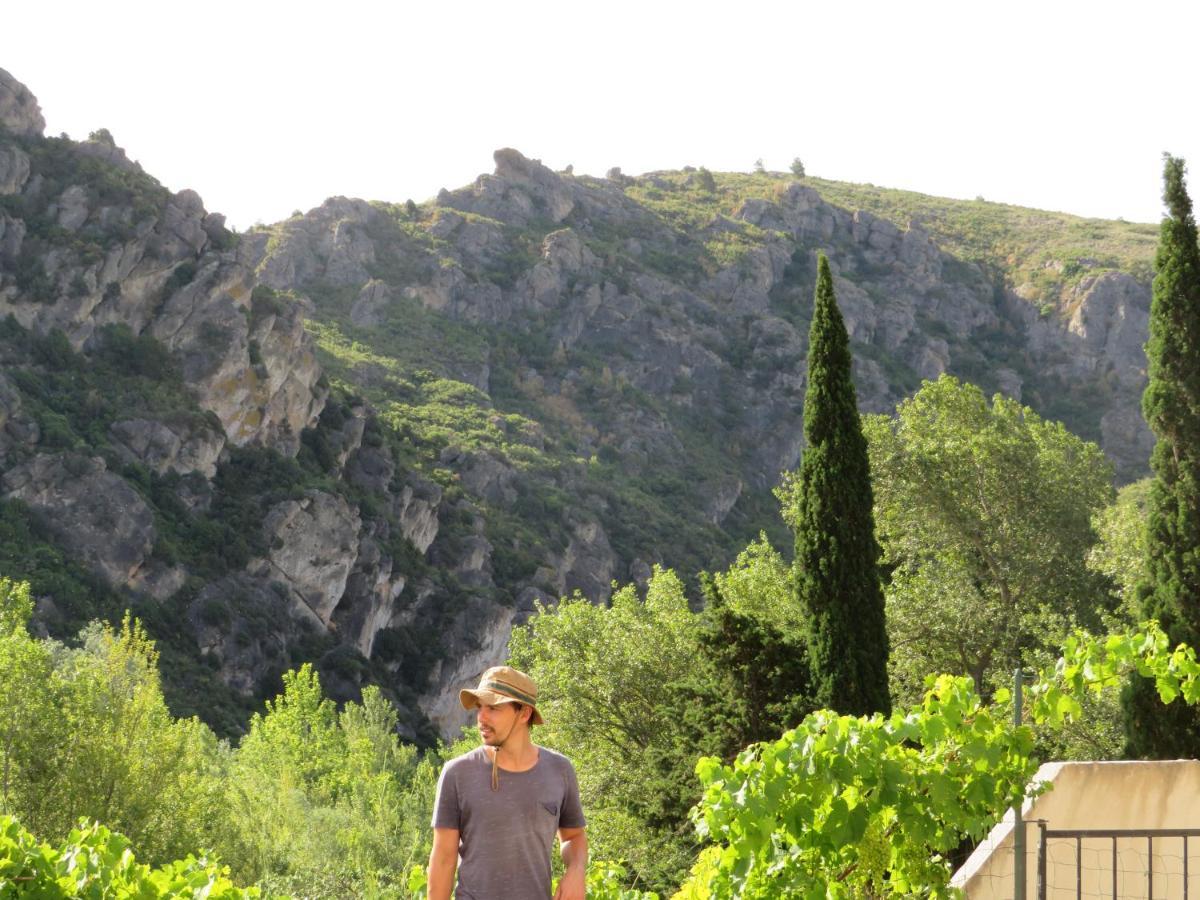 Villa Ripaud, Private River Swimming, Hot Tub Villeseque-des-Corbieres Exterior foto